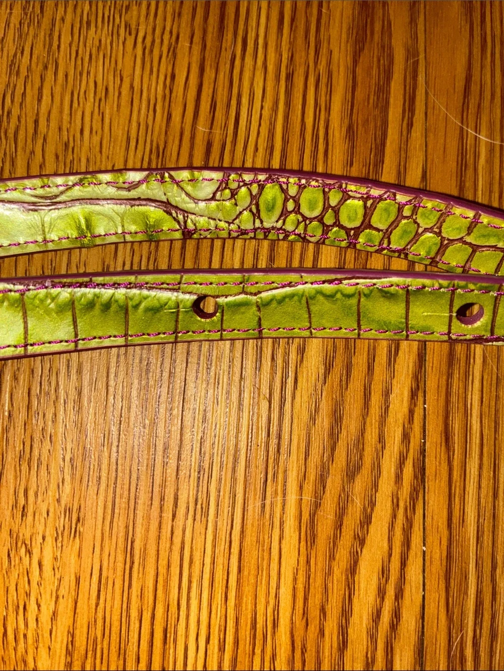 BRAHMIN colorway limeade crush Purple Lime green leather Shoulder purse strap